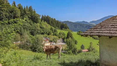 16-Zimmer-Immobilie kaufen in Kufstein – 703 m², € 1.950.000 – Bild 29 von 34
