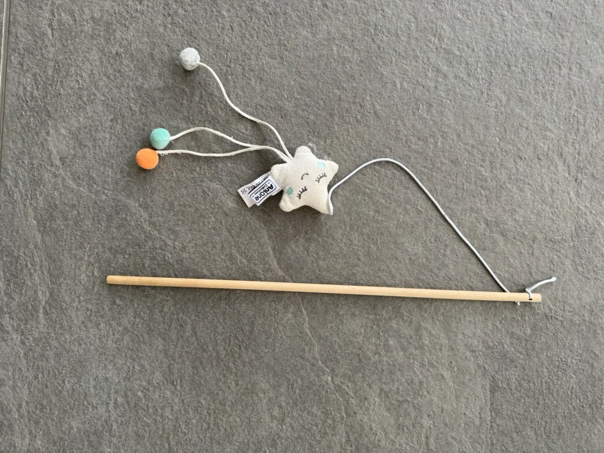 geschnittene pilze im kühlschrank aufbewahren Frische Kulturpilze geschnitten und 1 Glas Pilzpulver für Soße main image 1