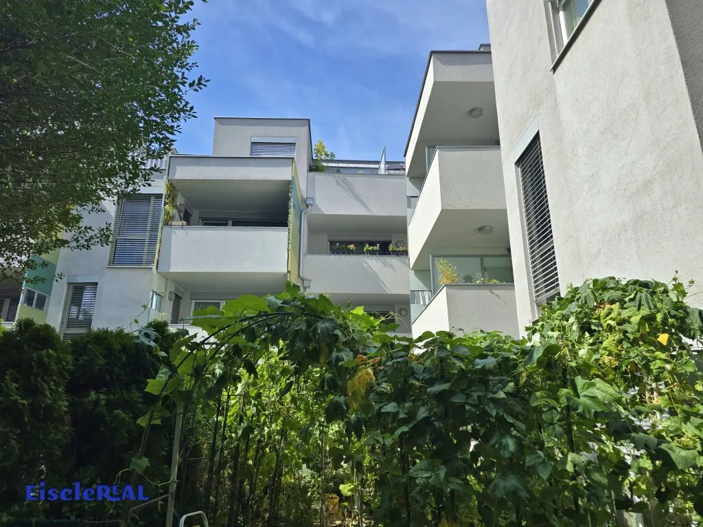 Wohnung – Wien, Siebenhirten - Ansicht 3