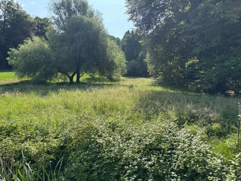 Hausmannstätten - Ortsteil Judendorf Ruhig gelegene Baugrundstücke in bester Lage! - Ansicht 3