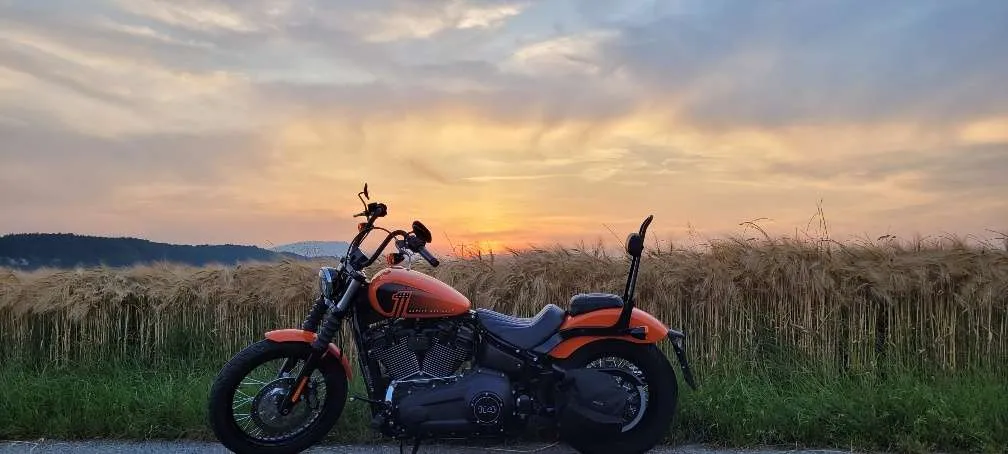 Harley-Davidson Softail