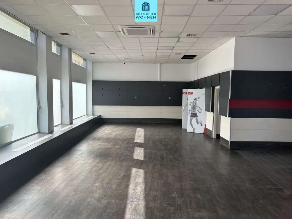 Geschäftslokal (260m²) mit Lagerfläche (125 m² im UG) - ab sofort - ohne Ablöse!! - Ansicht 3