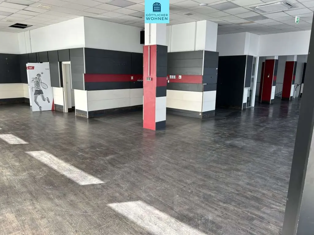 Geschäftslokal (260m²) mit Lagerfläche (125 m² im UG) - ab sofort - ohne Ablöse!! - Ansicht 2