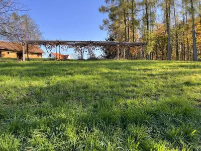 Grundstück kaufen in Hartberg-Fürstenfeld – 3 400 m², € 140.000 – Bild 12 von 15