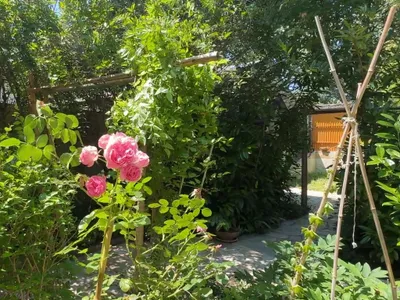 6-Zimmer-Haus kaufen in Neusiedl am See – 210 m², € 695.000 – Bild 23 von 46
