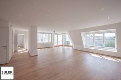 **Wohllebengasse: großzügige Dachgschosswohnung mit Terrasse u. Fernblick - Nähe Belvedere / Innenstadt **