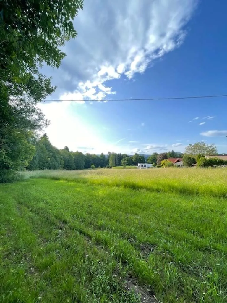 Großzügiges ruhiges Grundstück in See- und Zentrumsnähe! - Ansicht 3