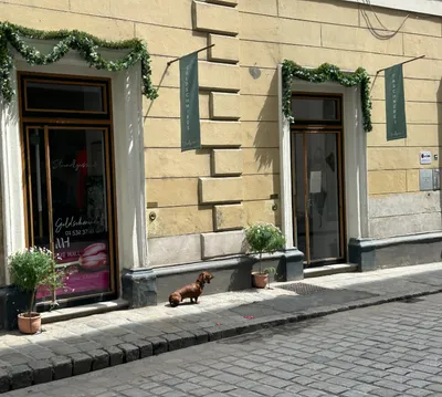 Gewerbeimmobilie mieten in Wien – 126 m², € 5.797