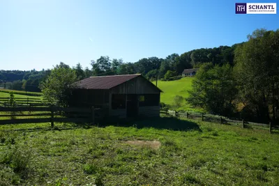 6-Zimmer-Haus kaufen in Hartberg-Fürstenfeld – 380 m², € 999.000 – Bild 39 von 93