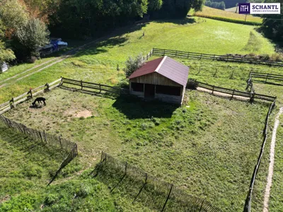 6-Zimmer-Haus kaufen in Hartberg-Fürstenfeld – 380 m², € 999.000 – Bild 85 von 93