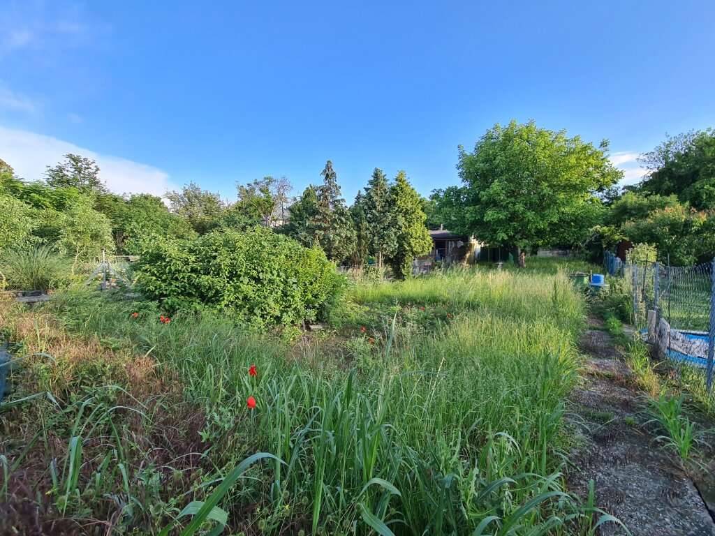 Traum-Eigengrund | Friedhof Großjedlersdorf – pohled 2