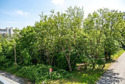 1-Zimmer-Wohnung kaufen in Wien – 34,27 m², € 217.197 – Bild 3 von 5
