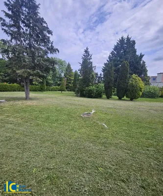 Grundstück kaufen in Baden – 3 490 m², € 850.000 – Bild 12 von 17