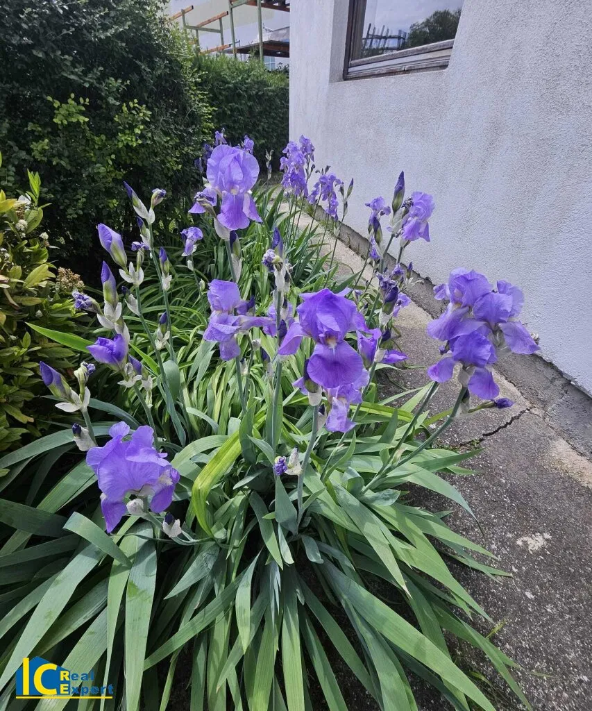 Bad Vöslau, parkähnlicher Grund mit kleinem Wohnhaus - Ansicht 2