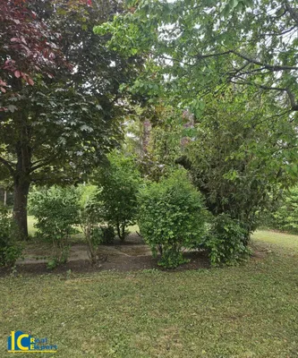 Grundstück kaufen in Baden – 3 490 m², € 850.000 – Bild 10 von 17