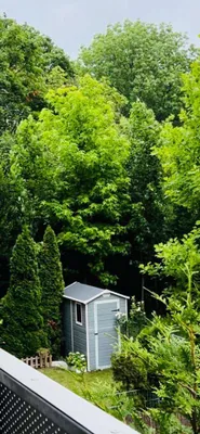 Provisionsfreie Maisonette + Garage + Garten + Terrasse – Bild 2