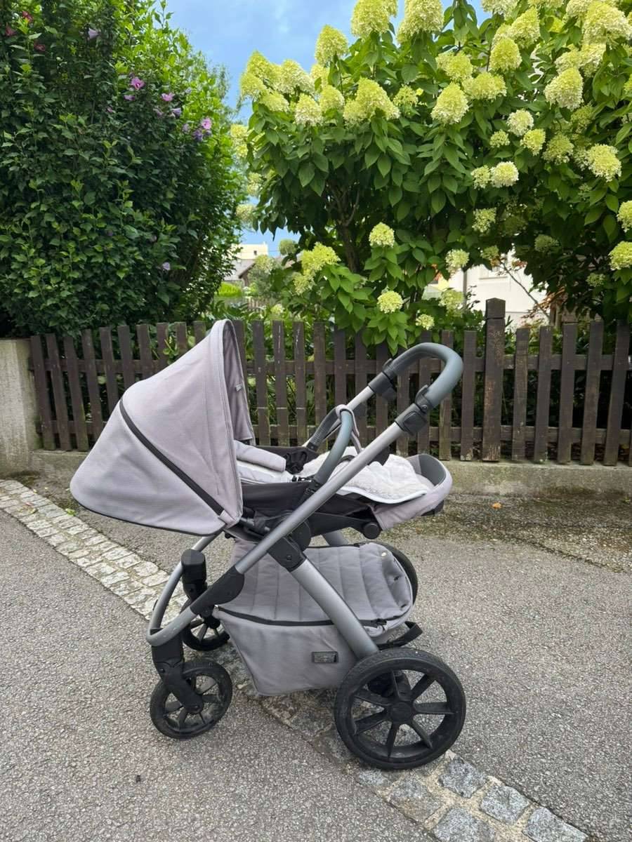 ziergräser düngen Gräserdünger kaufen – Spezialdünger main image 1
