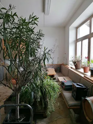 Gewerbeimmobilie kaufen in Hartberg-Fürstenfeld – 1 100 m², € 1.198.000 – Bild 30 von 37