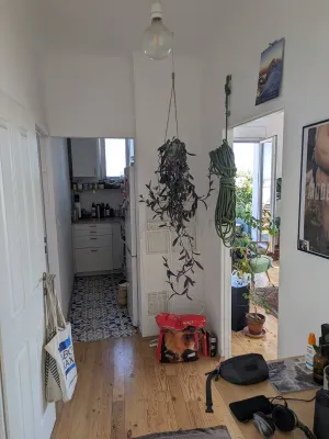 2-Zimmer-Wohnung mieten in Wien – 45 m², € 1.520 – Bild 11 von 23