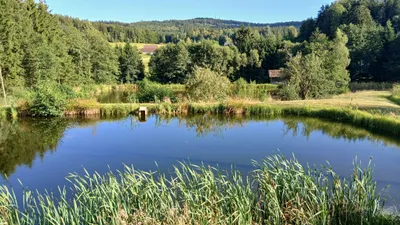 Immobilie kaufen in Gmünd – 11 000 m² – Bild 3 von 16