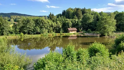 Immobilie kaufen in Gmünd – 11 000 m² – Bild 7 von 16