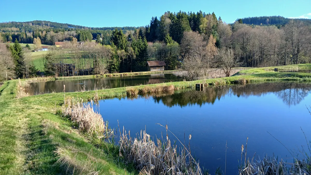 Erhvervslokale, 11000 m²