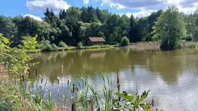 Immobilie kaufen in Gmünd – 11 000 m² – Bild 4 von 16