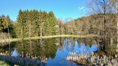 Immobilie kaufen in Gmünd – 11 000 m² – Bild 2 von 16