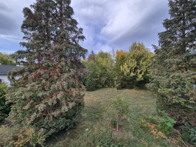 4-Zimmer-Haus mieten in Neunkirchen – 124 m², € 1.531 – Bild 19 von 32