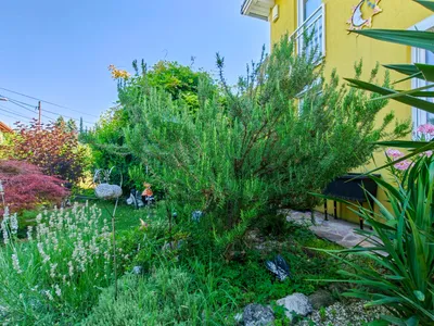 3-Zimmer-Haus kaufen in Wien – 82 m², € 599.000 – Bild 39 von 47