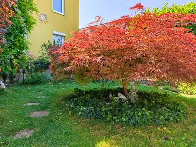 3-Zimmer-Haus kaufen in Wien – 82 m², € 599.000 – Bild 24 von 47