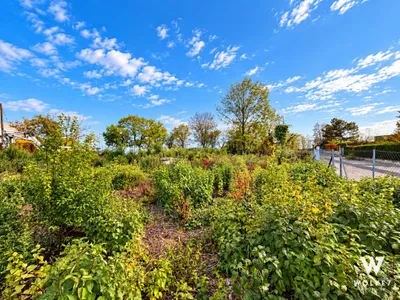 Grundstück kaufen in Korneuburg – 652 m², € 299.000 – Bild 3 von 3