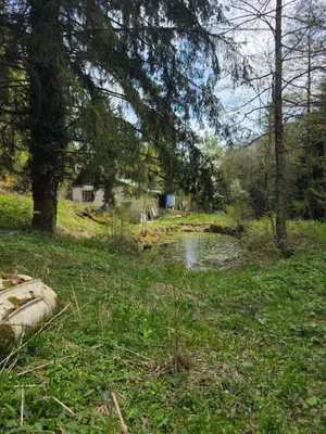 4-Zimmer-Immobilie kaufen in Melk – 110 m², € 130.000 – Bild 3 von 8