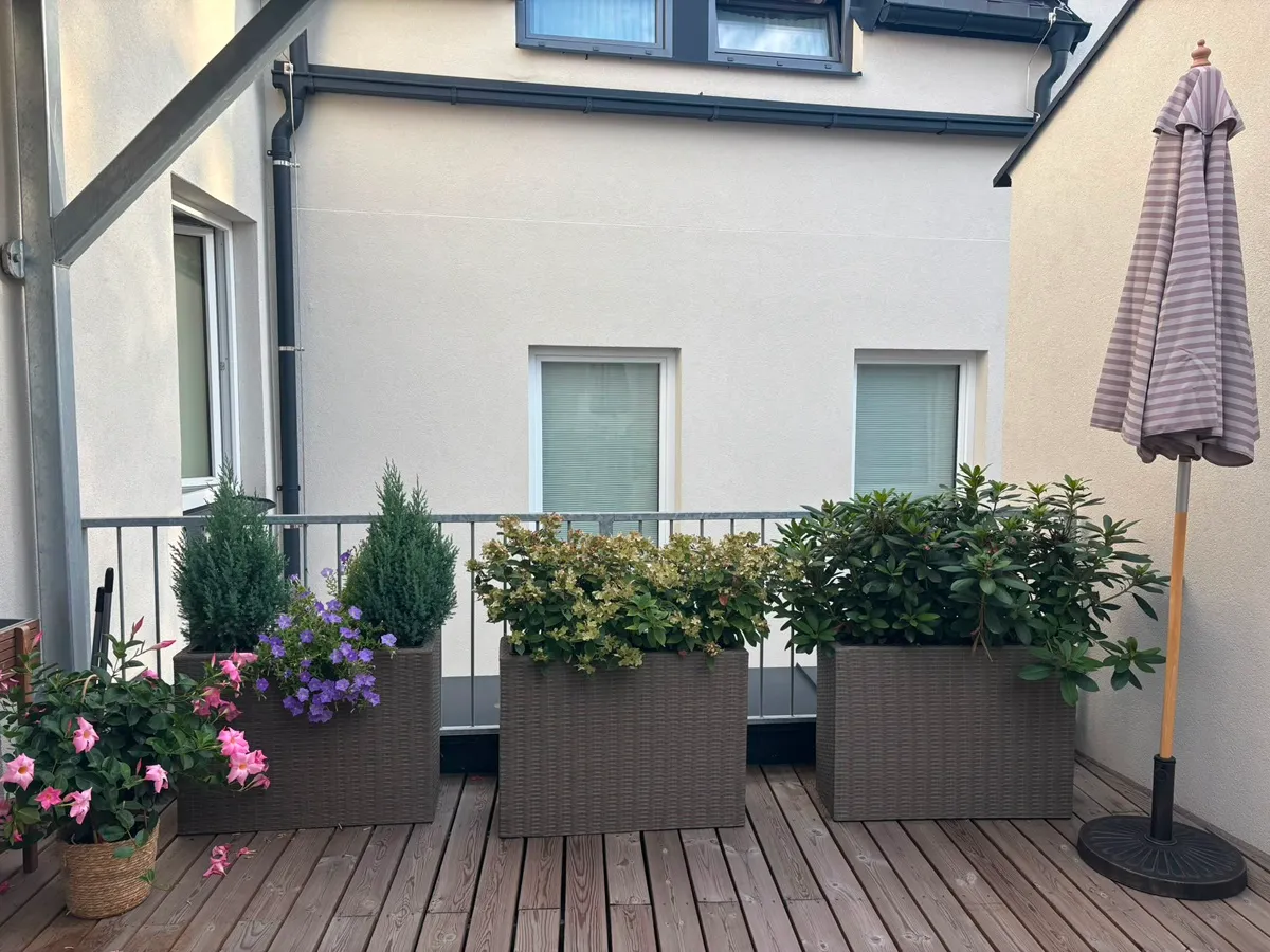 Wohnung – St. Pölten - Ansicht 2