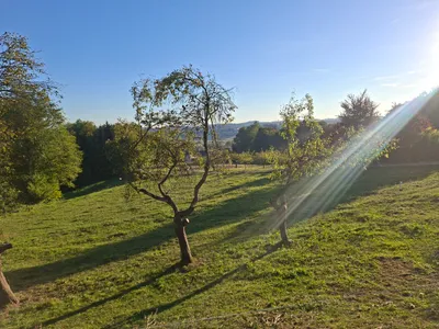 4-Zimmer-Immobilie mieten in Südoststeiermark – 80 m², € 600 – Bild 3 von 11
