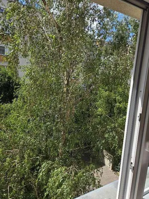 3-Zimmer-Wohnung kaufen in Wien – 62,14 m², € 199.000 – Bild 3 von 34