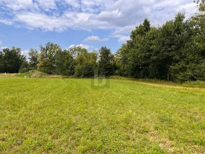 Grundstück kaufen in Schärding – 1 413 m², € 70.650 – Bild 3 von 4