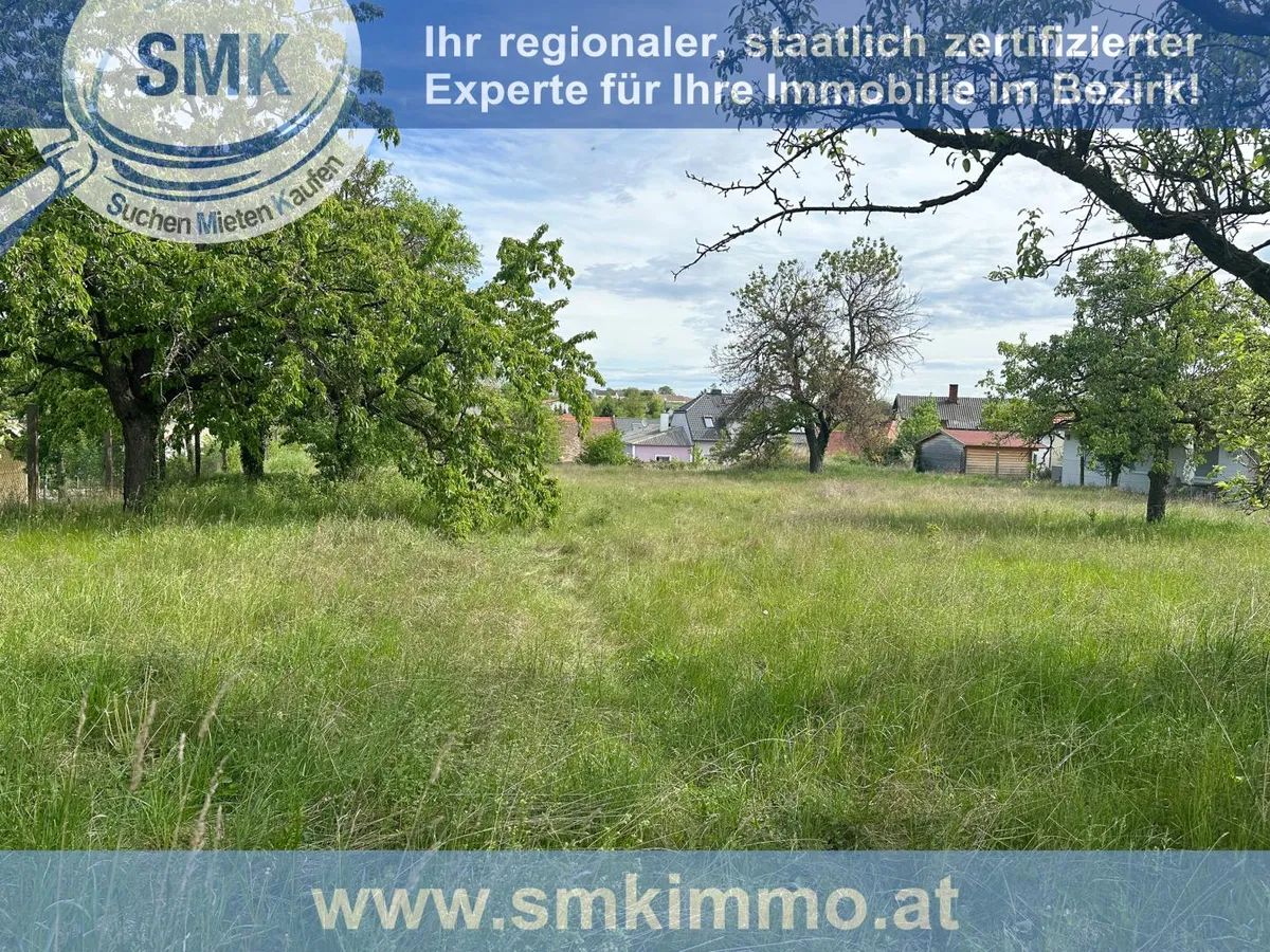 Schönes, sonniges Baugrundstück direkt in Niederschleinz! - Ansicht 2