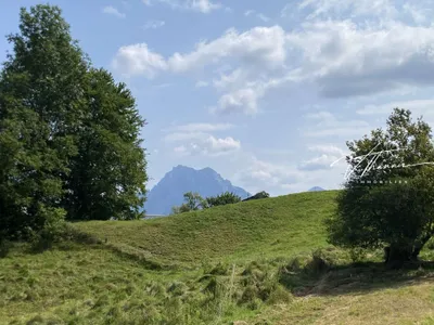 Grundstück kaufen in Gmunden – 1 000 m² – Bild 4 von 6