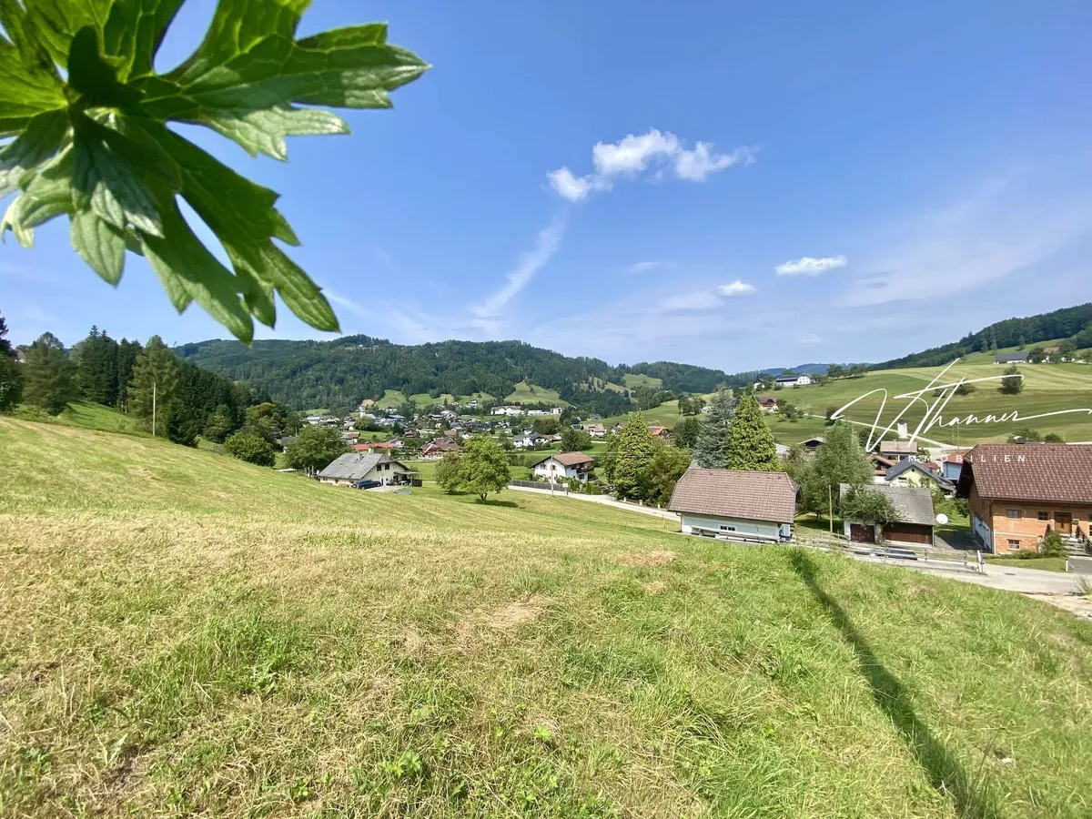 Ein Stück Heimat als Kapital - Vista 2