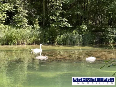 Haus kaufen in Wels-Land – 275 m² – Bild 35 von 62