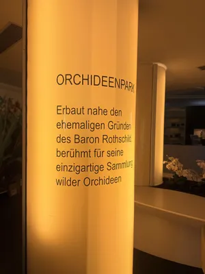 4-Zimmer-Wohnung mieten in Wien – 163 m², € 3.631 – Bild 27 von 35