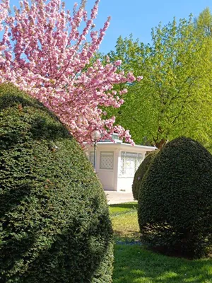 4-Zimmer-Wohnung kaufen in Klagenfurt – 85 m², € 595.000 – Bild 19 von 38