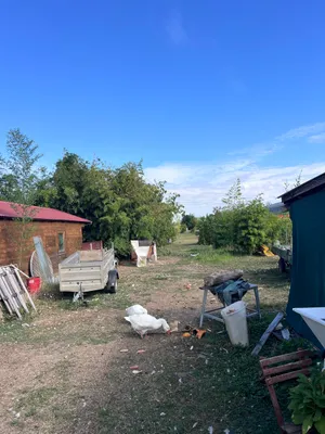 Grundstück kaufen in Hollabrunn – 1 400 m², € 35.000 – Bild 8 von 10