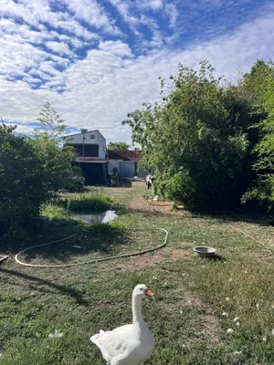 Grundstück kaufen in Hollabrunn – 1 400 m², € 35.000 – Bild 5 von 10