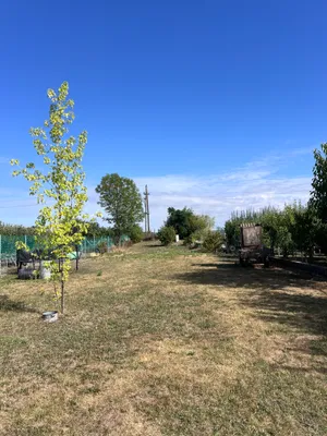 Grundstück kaufen in Hollabrunn – 1 400 m², € 35.000 – Bild 7 von 10
