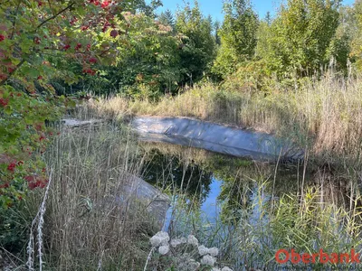 Grundstück kaufen in Braunau am Inn – 23 550 m², € 164.900 – Bild 5 von 6