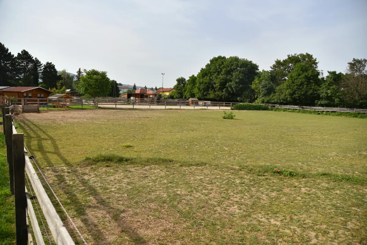 Gepflegte Pferdeanlage zur Pacht in Traiskirchen - Baden bei Wien - Ansicht 2