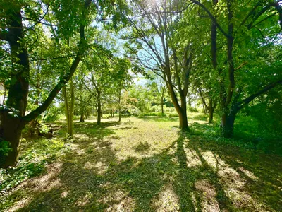 Immobilie kaufen in Korneuburg – 560 m², € 599.000 – Bild 16 von 19