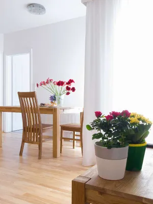 2-Zimmer-Wohnung mieten in Baden – 50 m², € 1.200 – Bild 3 von 10